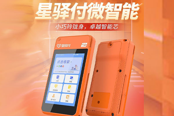 景洪国通微电签POS机